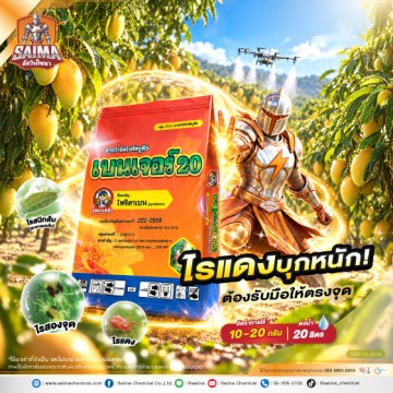 เบนเจอร์ 200