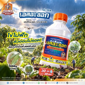 เอสอะซอก