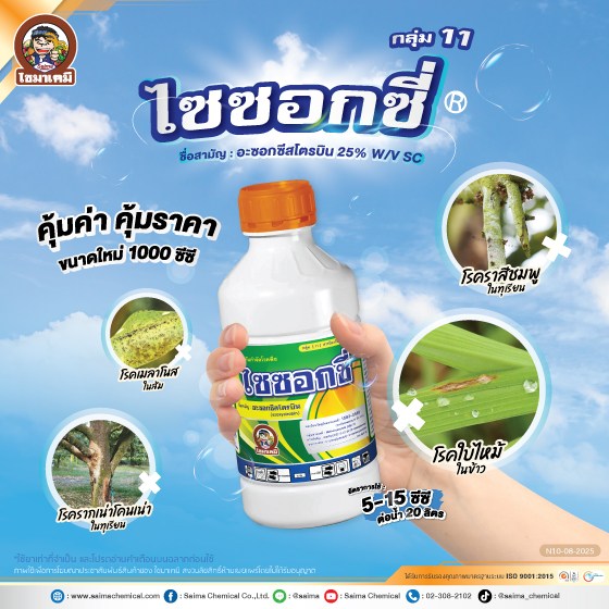 ไซซอกซี่