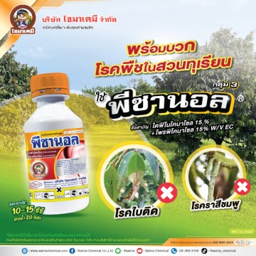 พีซานอล