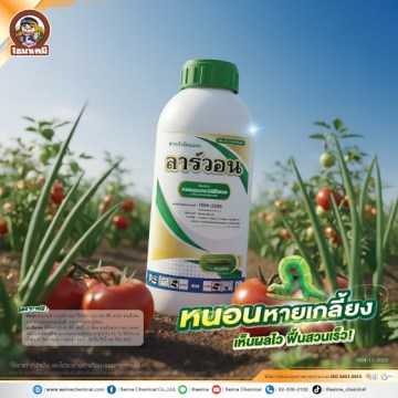12Ad-SI-ลาร์วอน-(มะเขือเทศ-ต้นหอม)-ปี68-web