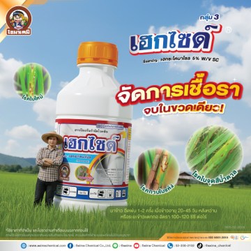 เฮกไซด์