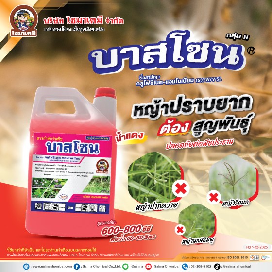 บาสโซน