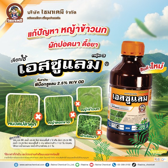 โซน่าโซน