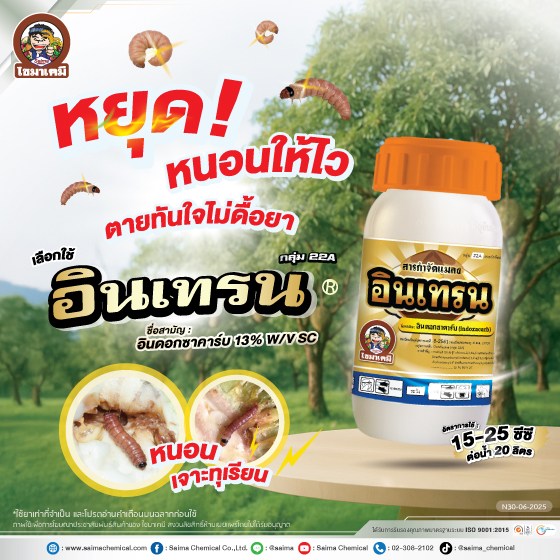 อินเทรน